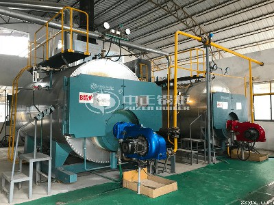 供热锅炉传热恶化时水冷壁壁温的影响因素